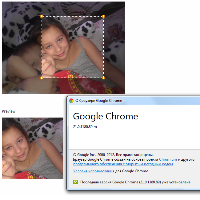 Контрол ImageCrop в браузере Chrome 21