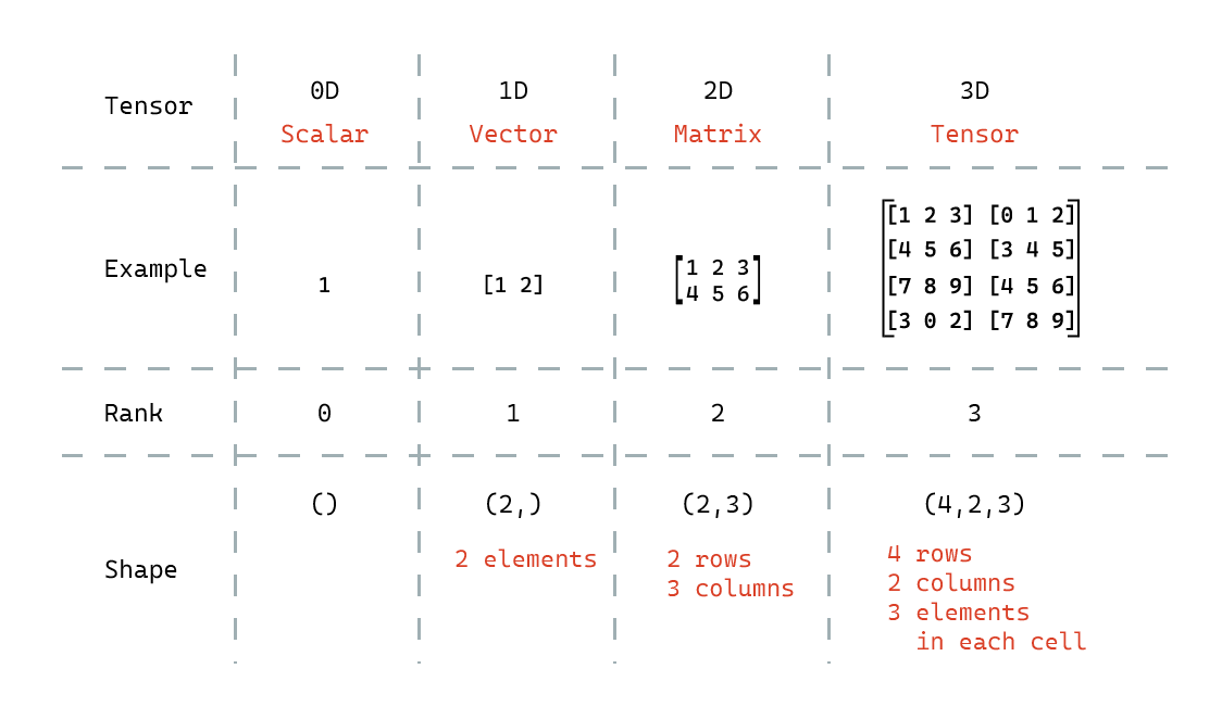 Rank and Shape of Tensors